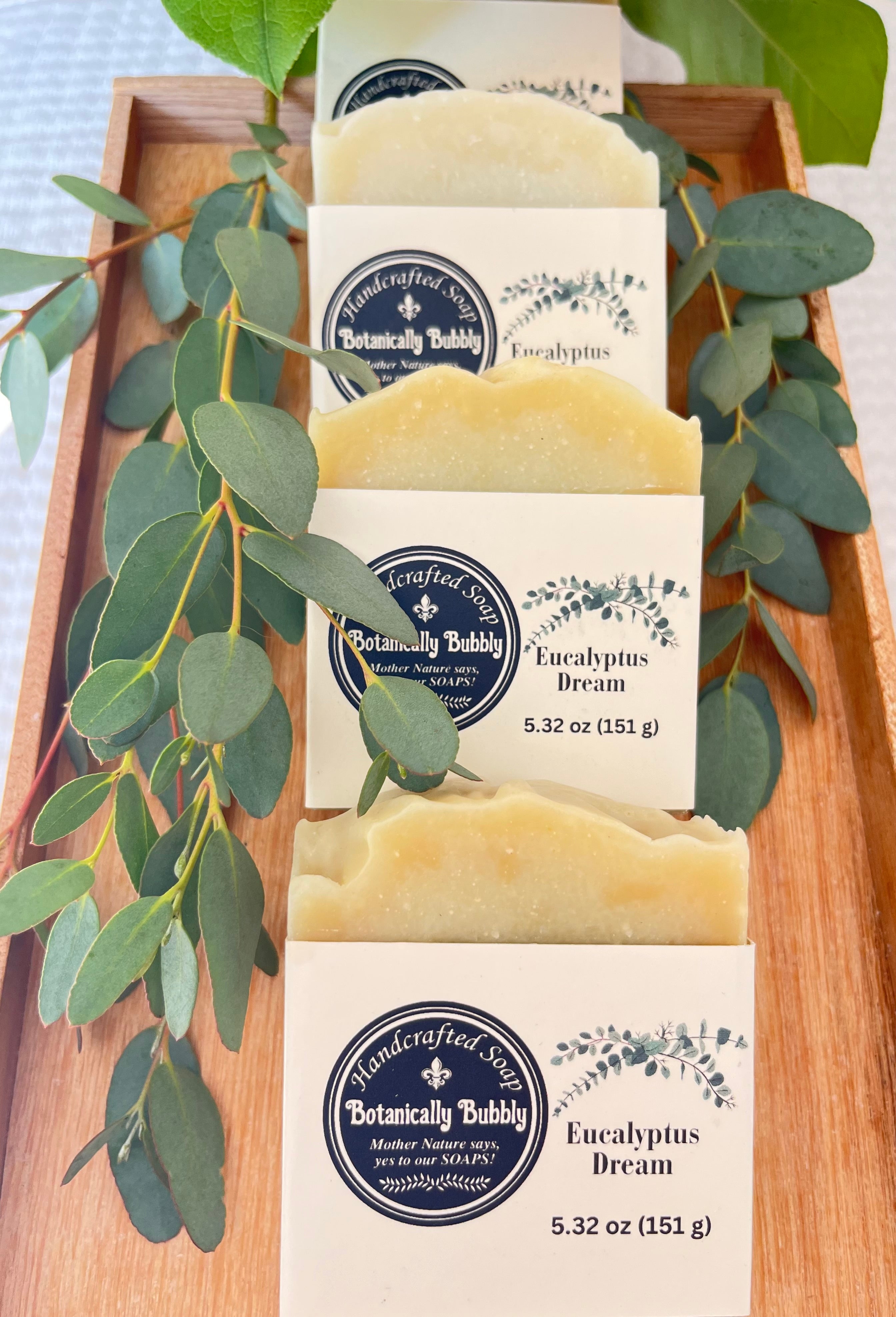 Eucalyptus Dream