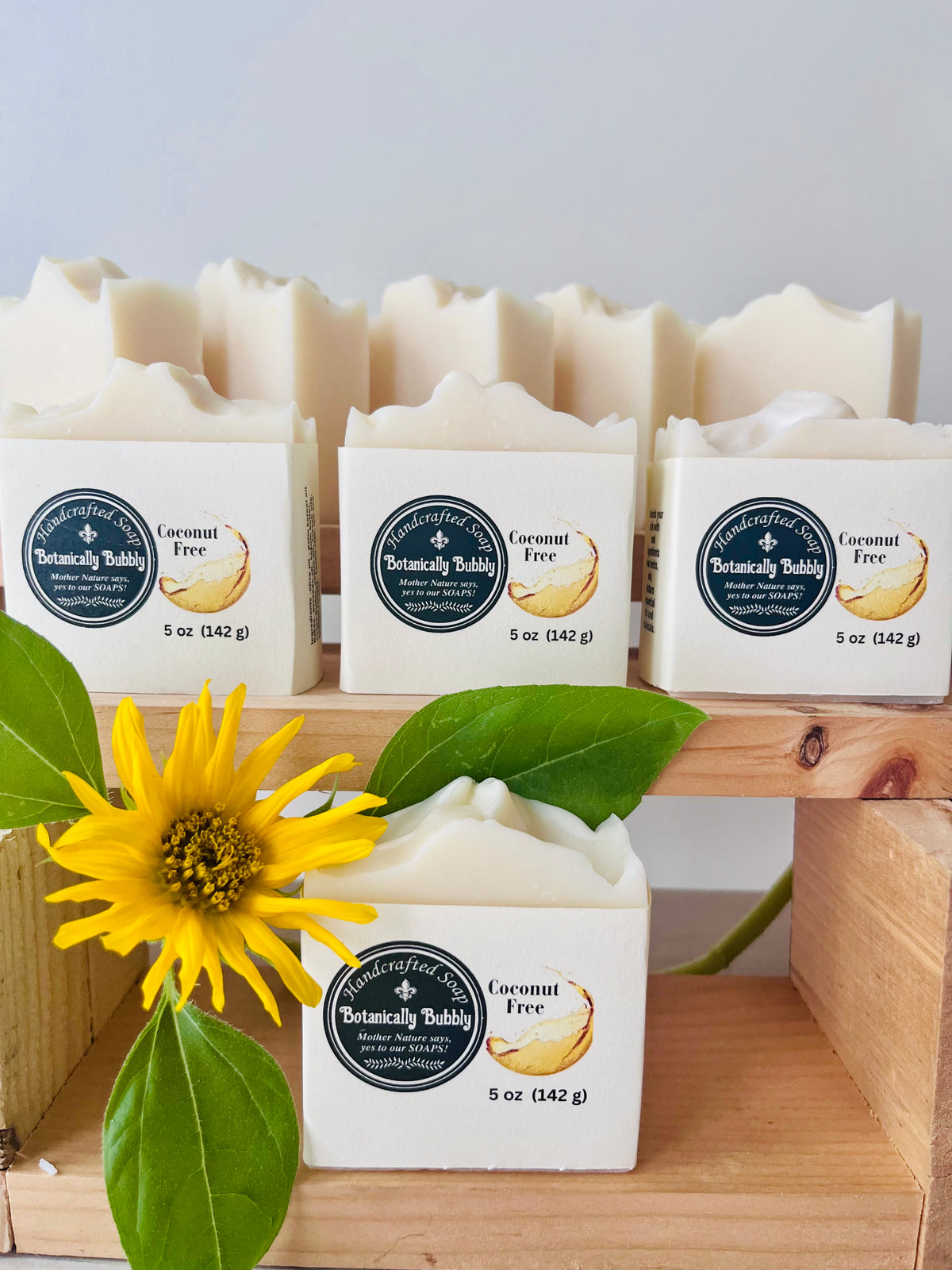 Coconut Free