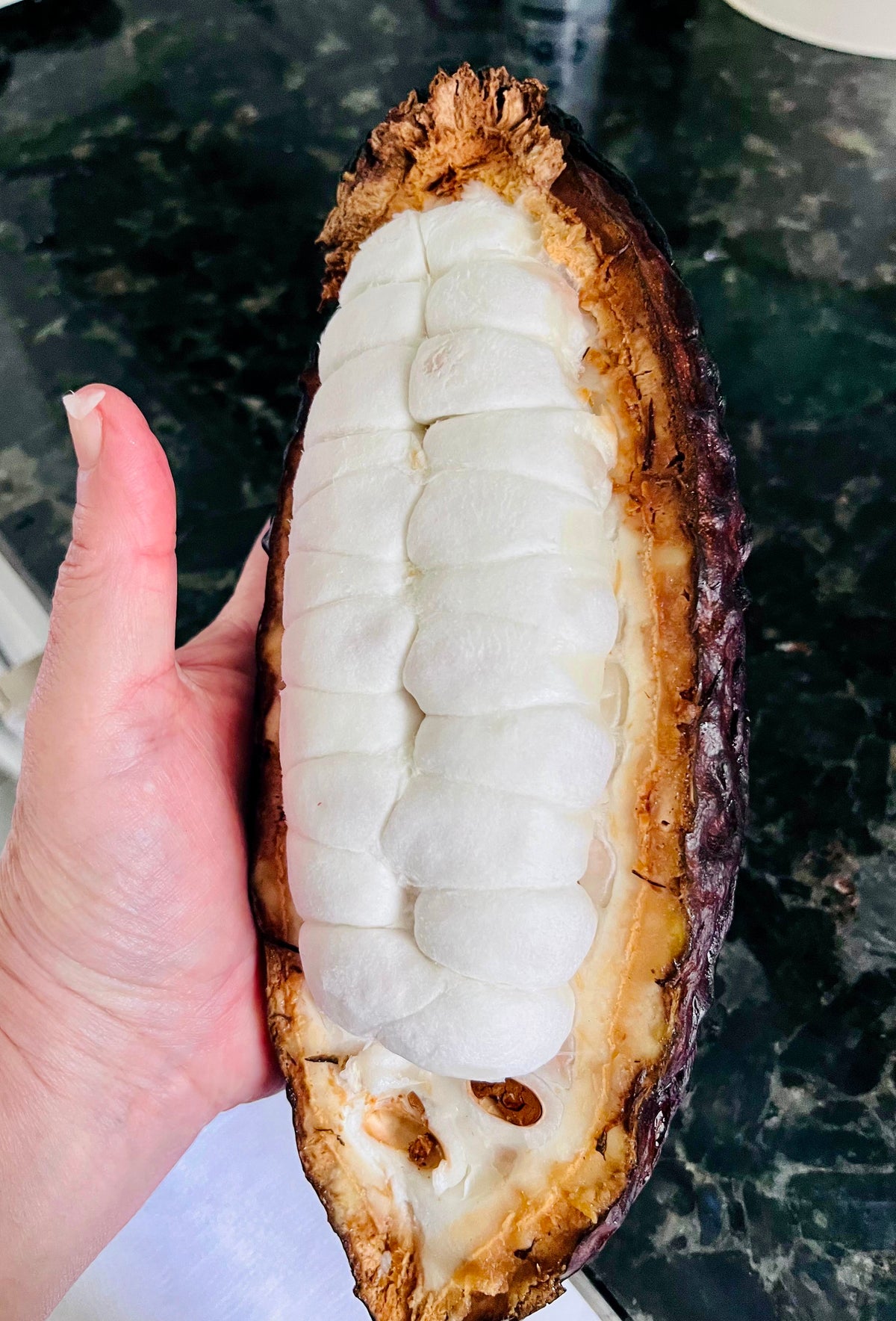 Coconut Free