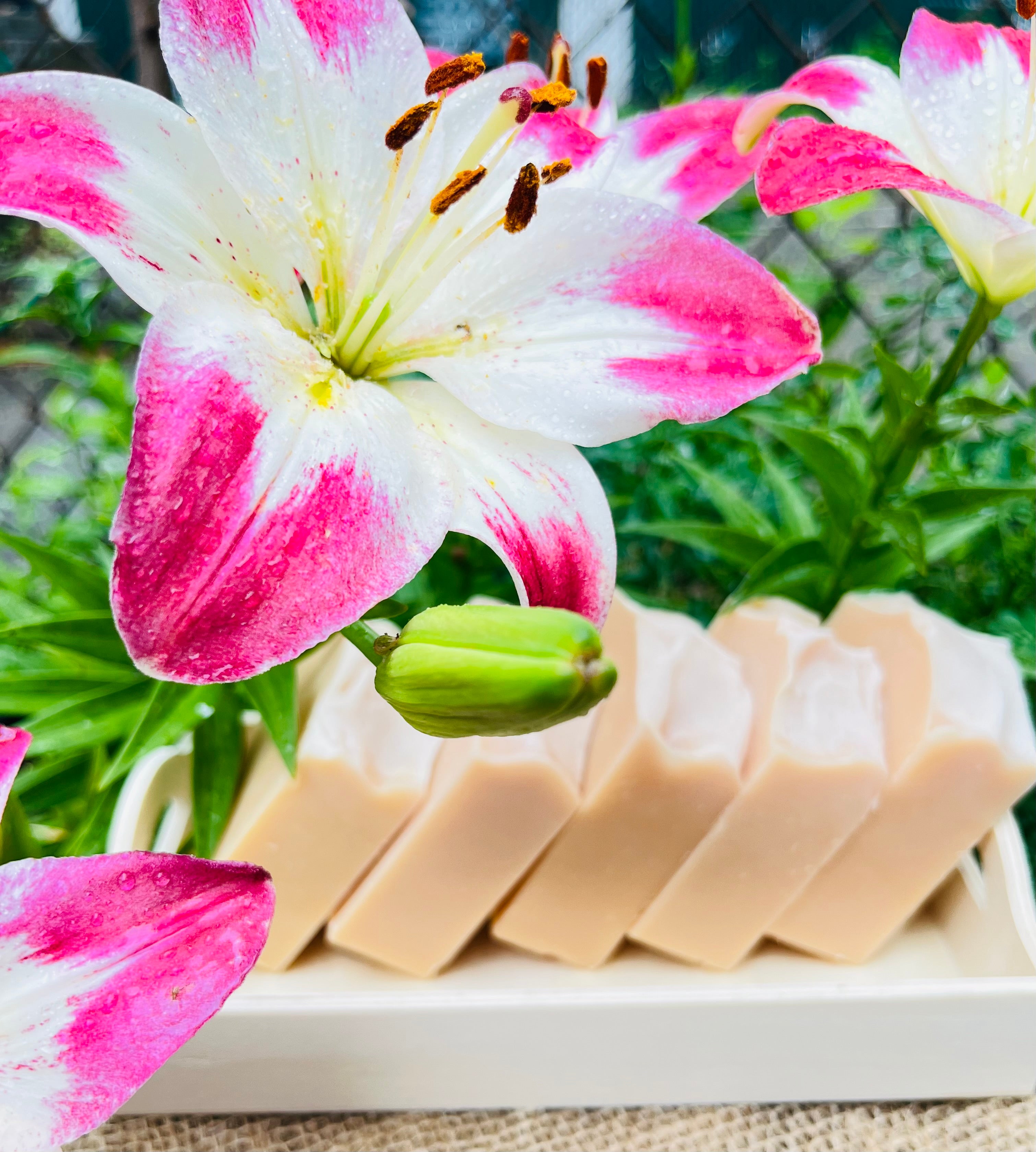 Pinkish Clay Artisan Soap Bar