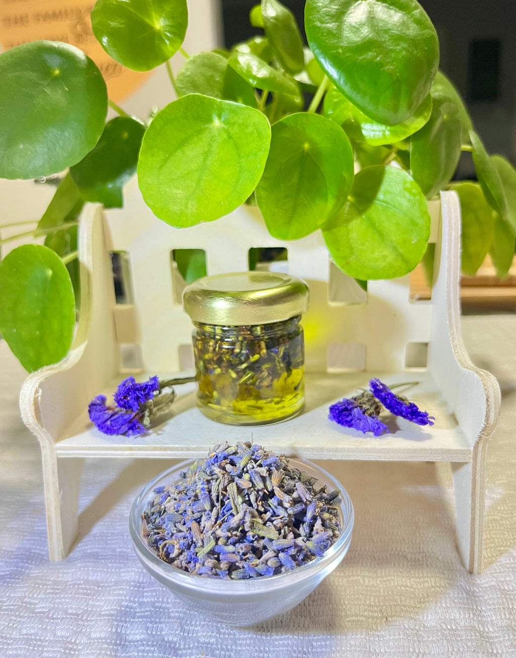 Serene Lavender