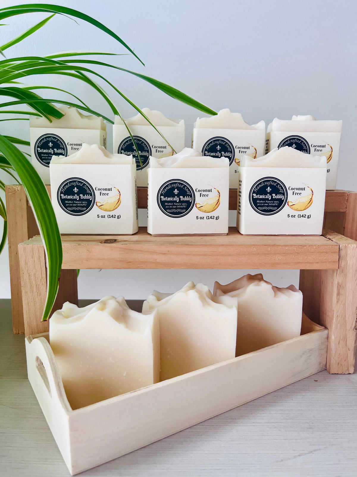 Coconut Free
