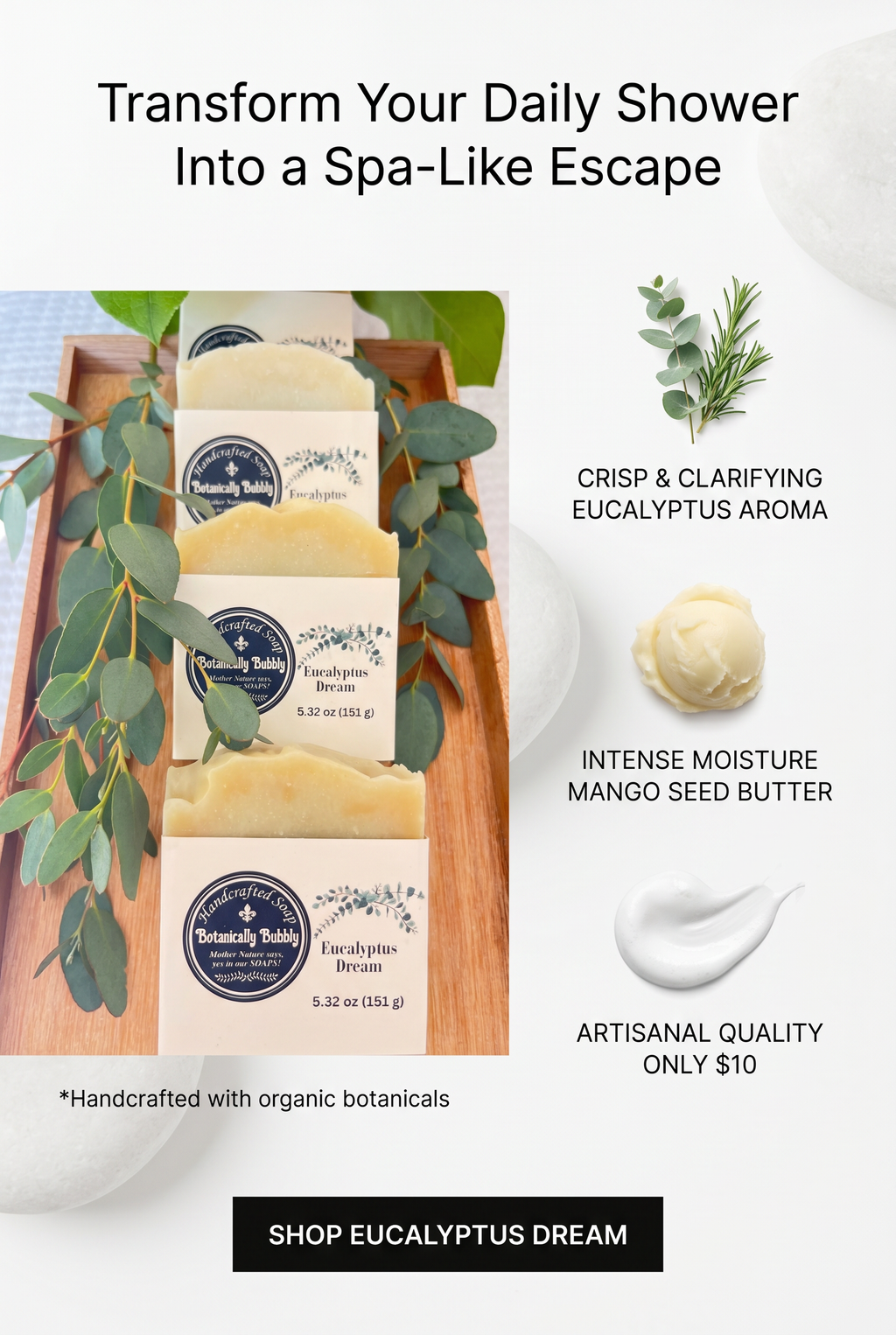 Eucalyptus Dream