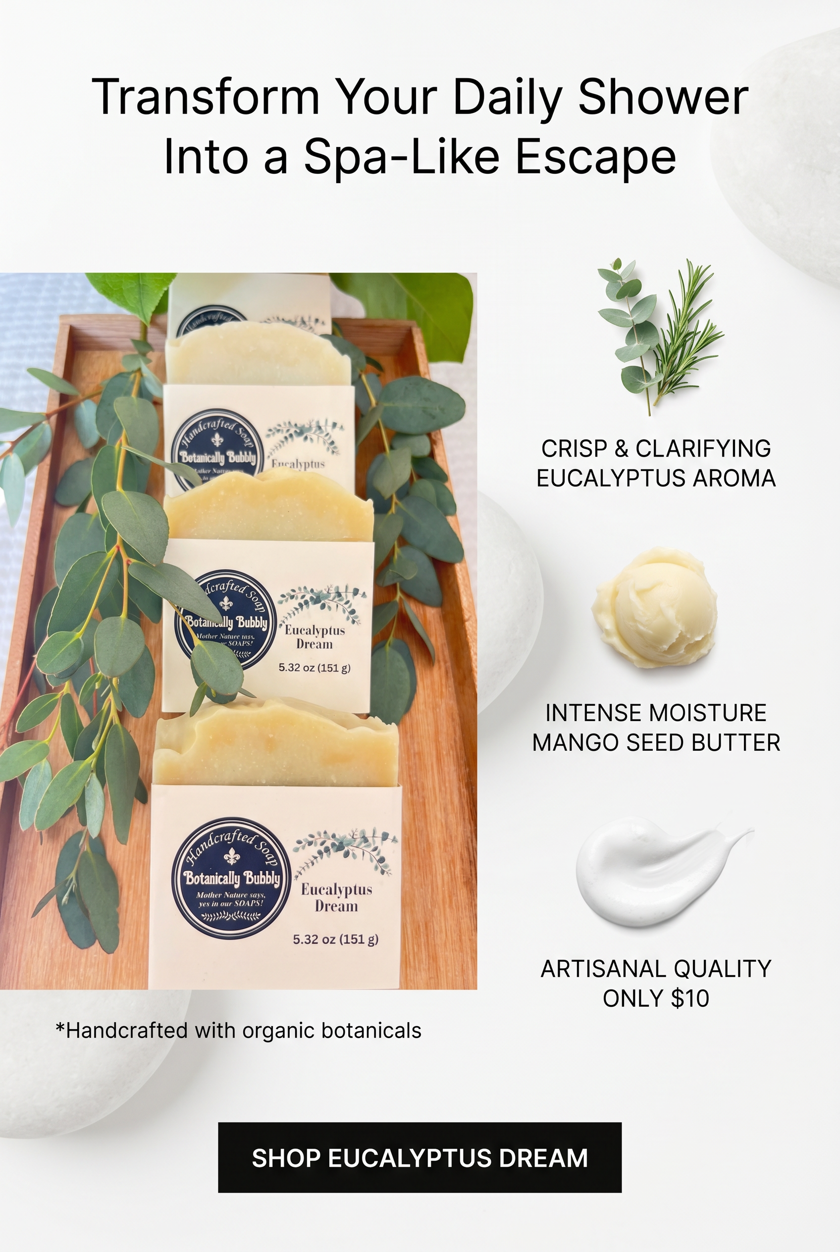 Eucalyptus Dream